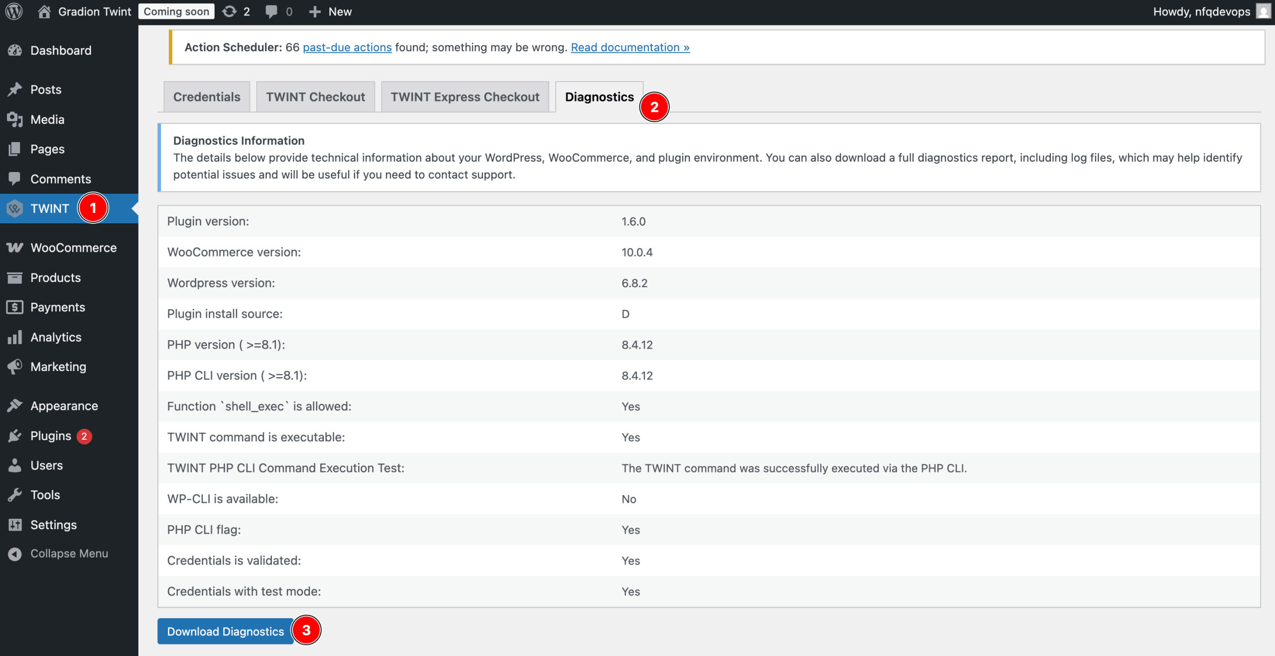 TWINT-Plugin: Schaltfläche „Download Diagnostics“ zum Herunterladen der Diagnosedatei